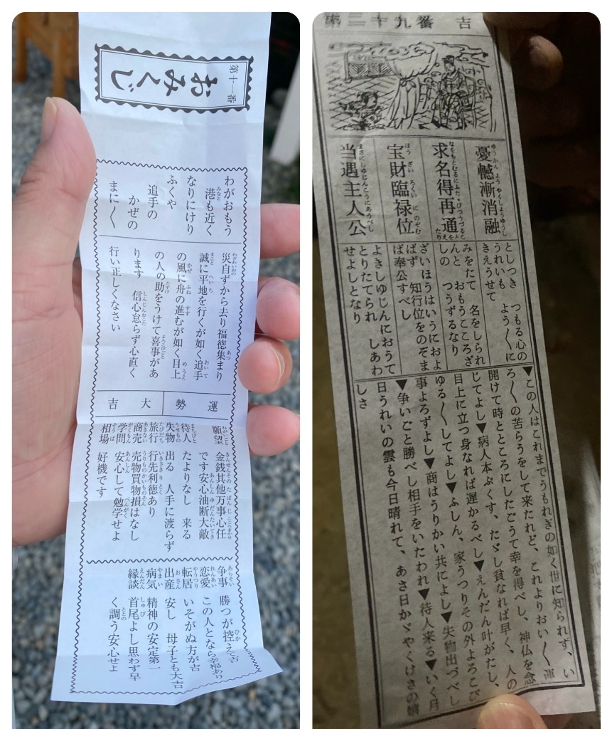 【おみくじ活用法⛩️】