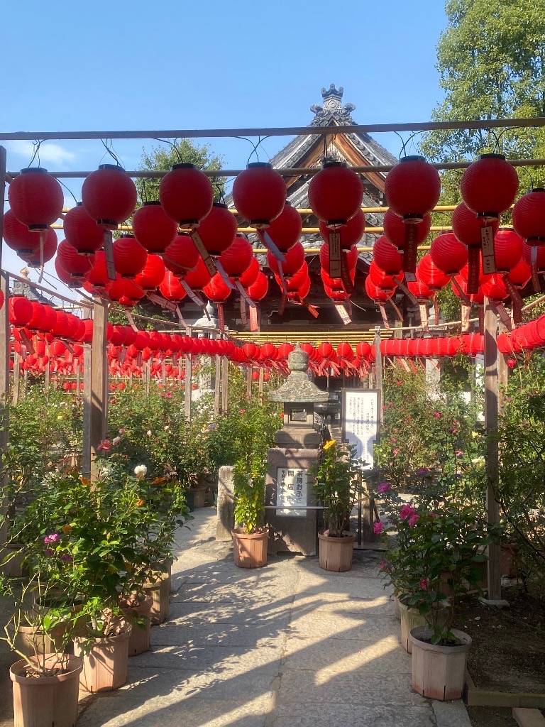 【氣功は胃腸症状に効果的⁉️(いや、それだけじゃないけど🤣)】